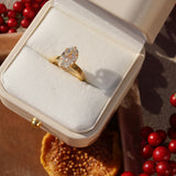 LUMA Ring